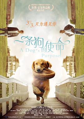 欧美暧暧视频