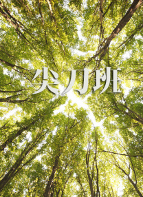 十八岁禁止网站